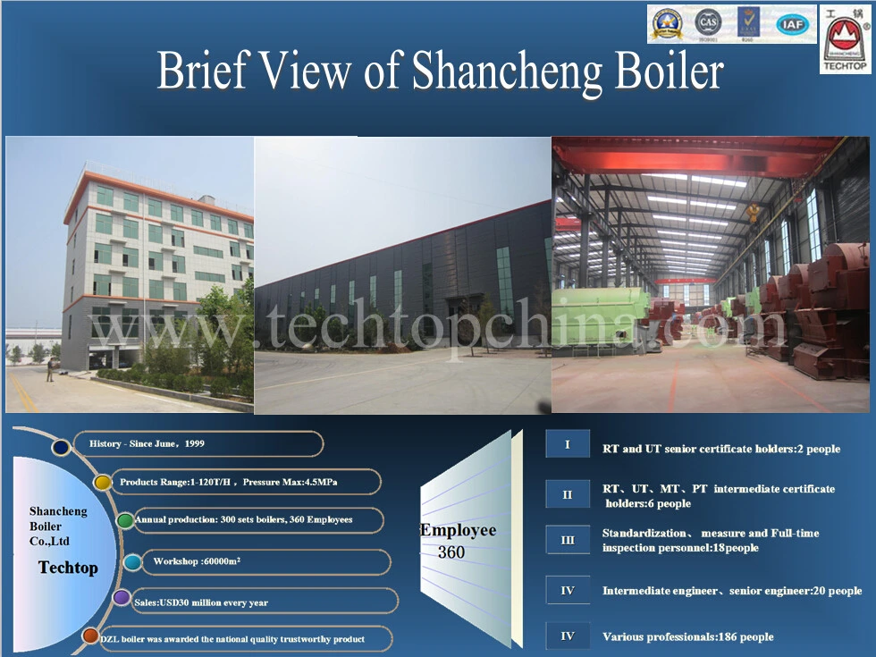 Electrical Equipment Process Steam Boiler